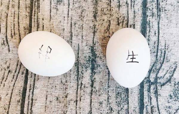 どっちが生卵でゆで卵？　JAが教える見分け方に「簡単すぎる！」