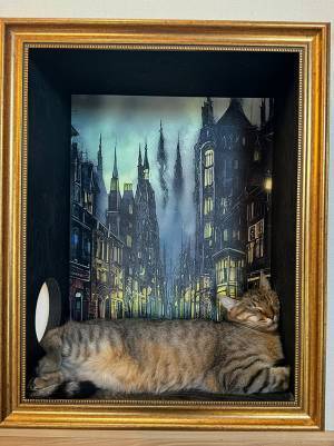 眠る猫がいたのは…　美しい『キャットウォーク』に「鑑賞したい」