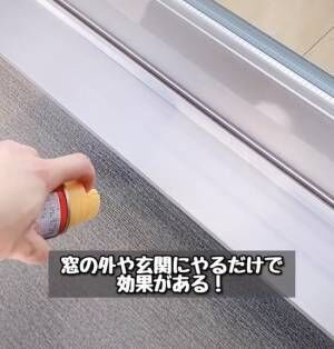 窓のサッシにゴキブリがいなくなるスプレーを吹きかける様子