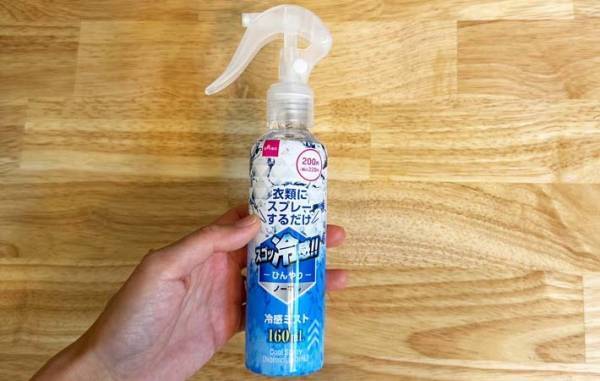 着る前にシュッとするだけ！　１００円ショップのグッズで…