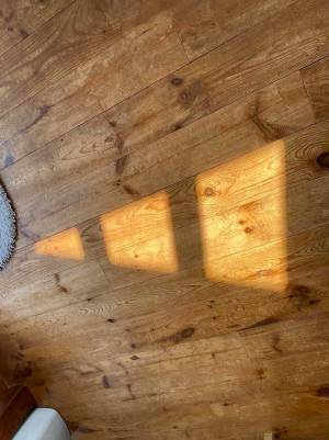 実家の床の影が…　まさかの光景に『５万人』が笑顔！