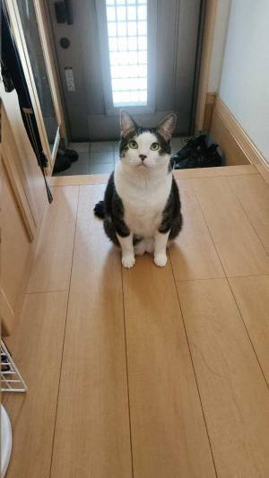 早めに家を出ようとしたら？　思わぬ『壁』に「これは遅刻不可避」