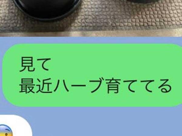 自宅で育ててるハーブ　母親に写真を送ると…「爆笑」「素敵なお母さん」