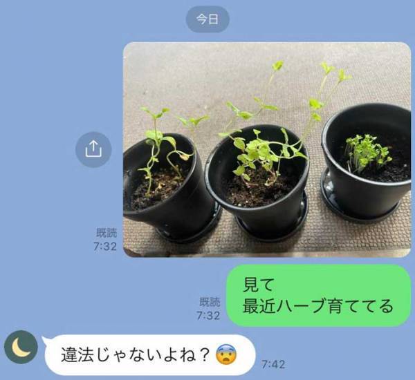 自宅で育ててるハーブ　母親に写真を送ると…「爆笑」「素敵なお母さん」