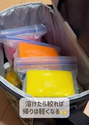 スポンジをカチカチに凍らせたら？　便利な使い道に「天才」「その手があったか」