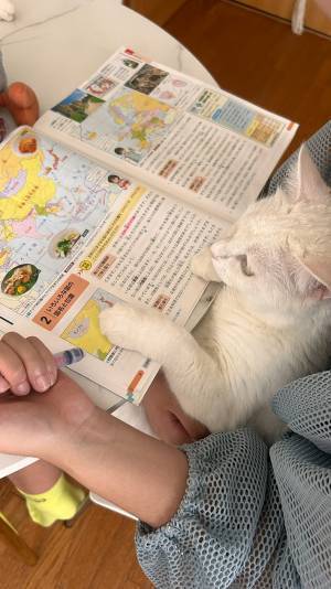 娘の宿題を見ていたのは？　家庭教師の姿に「これは勉強にならない…」