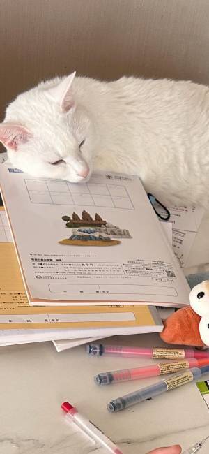 娘の宿題を見ていたのは？　家庭教師の姿に「これは勉強にならない…」