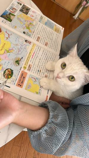 娘の宿題を見ていたのは？　家庭教師の姿に「これは勉強にならない…」