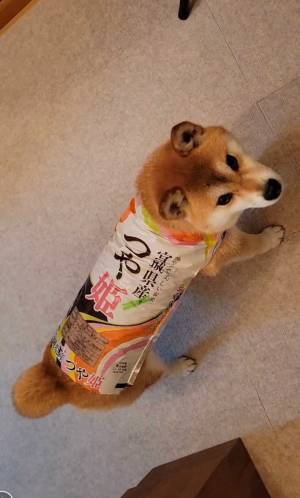 米袋、ではなく…？　「天才」「こんな使い方あったんだ」