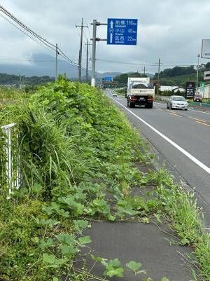 地方の舗道の写真