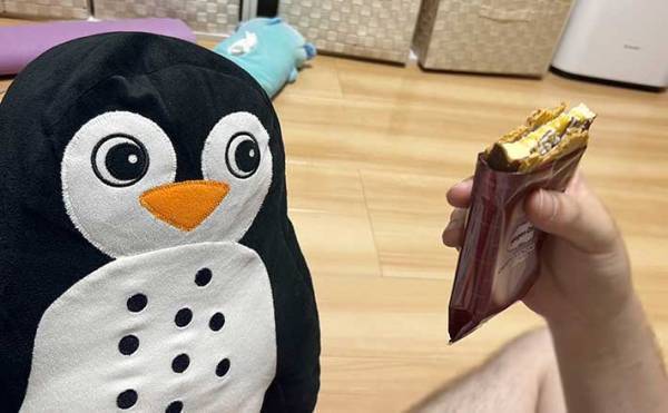 『ハーゲンダッツ』を食べていたら、視線が…　「めっちゃ見とるやん」