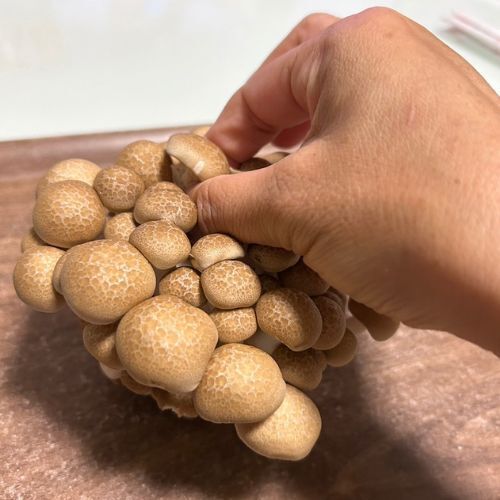 シメジの石づきは「切らないで」　管理栄養士の助言に「そんな方法が」「ハッとした」