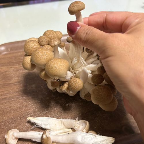 シメジの石づきは「切らないで」　管理栄養士の助言に「そんな方法が」「ハッとした」