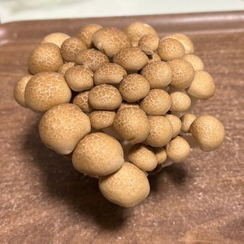 シメジの石づきは「切らないで」　管理栄養士の助言に「そんな方法が」「ハッとした」