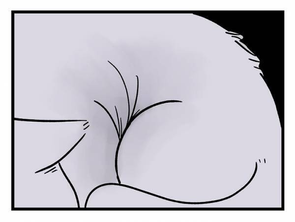 丸まった猫に手を伸ばす飼い主　その理由に「分かりみが深い」「これは最高」