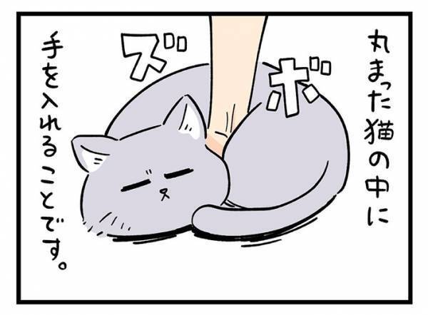 丸まった猫に手を伸ばす飼い主　その理由に「分かりみが深い」「これは最高」