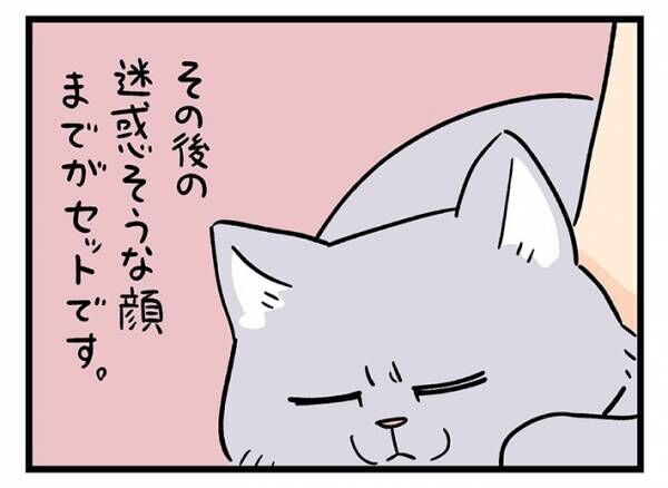 猫の漫画の画像