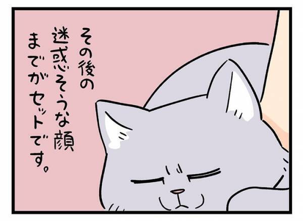 丸まった猫に手を伸ばす飼い主　その理由に「分かりみが深い」「これは最高」