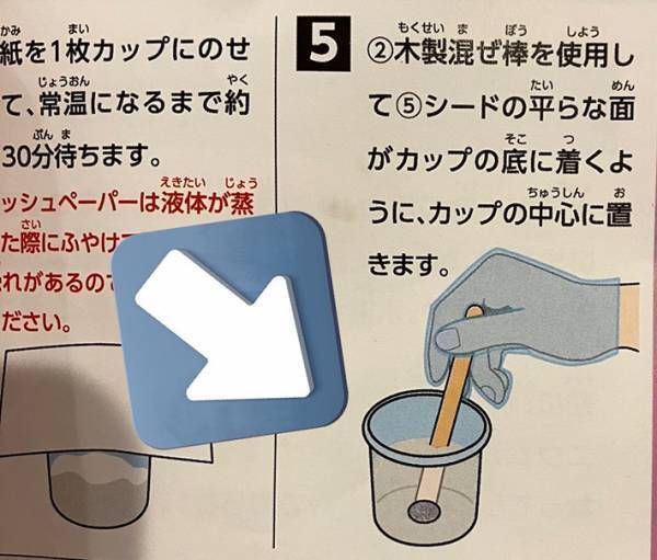 息子が自由研究で作った『丸い結晶』　まさかの正体に「笑った」「面白すぎる」