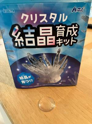 息子が自由研究で作った『丸い結晶』　まさかの正体に「笑った」「面白すぎる」