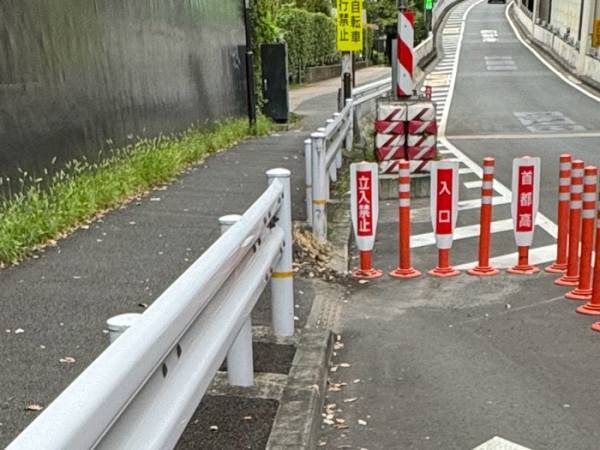 道路で目にした不可解な光景　行き止まりかと思ったら…「これはナイス」「賢い」