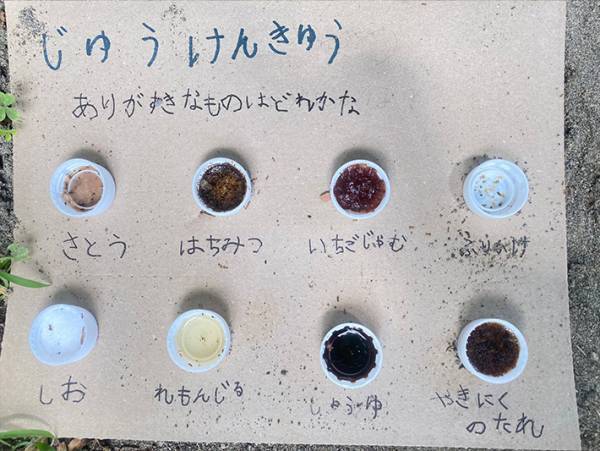 小１男子の自由研究に１３万人が称賛！　「目の付け所がすごい」「意外な結果だった」