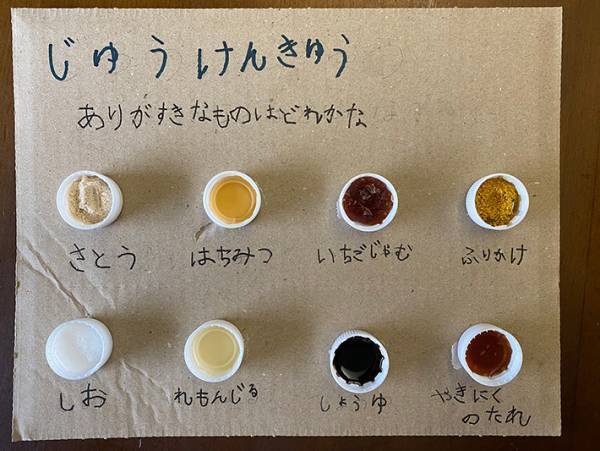 小１男子の自由研究に１３万人が称賛！　「目の付け所がすごい」「意外な結果だった」