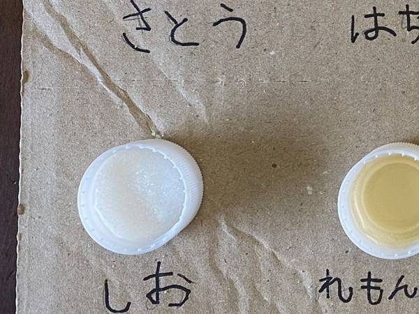 小１男子の自由研究に１３万人が称賛！　「目の付け所がすごい」「意外な結果だった」