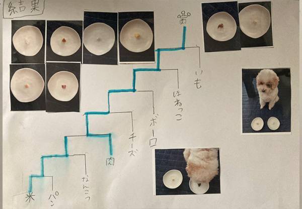 息子が考えた『夏休みの自由研究』　ひらめきに「素晴らしい発想」「これは優秀」
