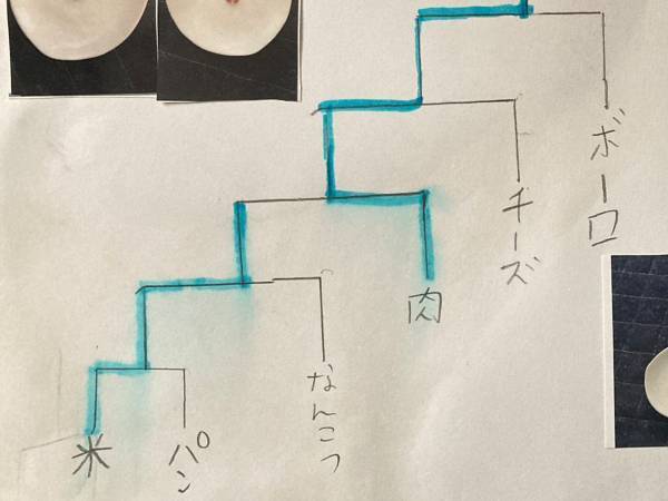 息子が考えた『夏休みの自由研究』　ひらめきに「素晴らしい発想」「これは優秀」