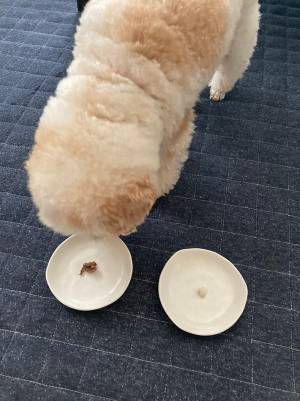 息子が考えた『夏休みの自由研究』　ひらめきに「素晴らしい発想」「これは優秀」