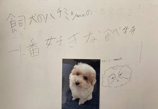 息子が考えた『夏休みの自由研究』　ひらめきに「素晴らしい発想」「これは優秀」