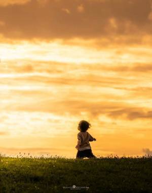 父親が撮った子供の写真　数年後に…「泣いた」「一生の宝物」