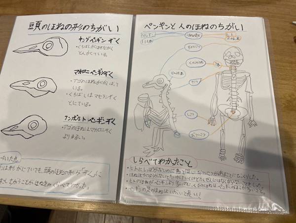 娘が『自由研究』に作ったモノが？　父親の投稿に「マジか」「小２とは思えない」