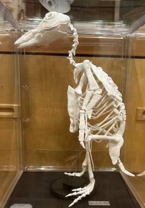 娘が『自由研究』に作ったモノが？　父親の投稿に「マジか」「小２とは思えない」