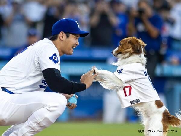 大谷翔平の愛犬・デコピンが、見事な始球式！　動画に「お利口さんやな～」