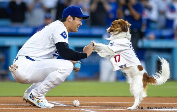大谷翔平の愛犬・デコピンが、見事な始球式！　動画に「お利口さんやな～」