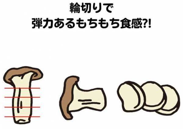 エリンギの切り方を変えると…　新しい発見に「知らなかった」