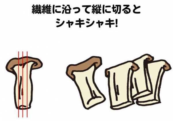 エリンギの切り方を変えると…　新しい発見に「知らなかった」