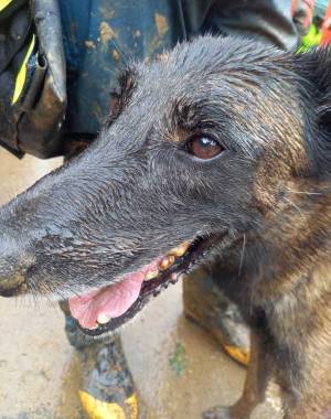 行方不明者２名を発見したのが…　勇敢な姿に「胸を打たれた」「頭が下がる思い」