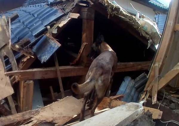 行方不明者２名を発見したのが…　勇敢な姿に「胸を打たれた」「頭が下がる思い」