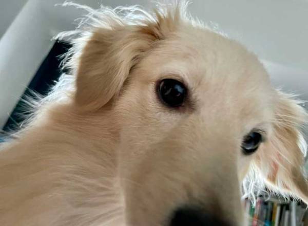 「早く悪夢から覚めて」　悪夢を見ていると…突然、つんつんっ