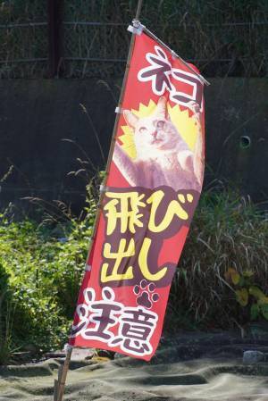 肉球マークの注意喚起　上に「バーン」と印刷されていたのは？