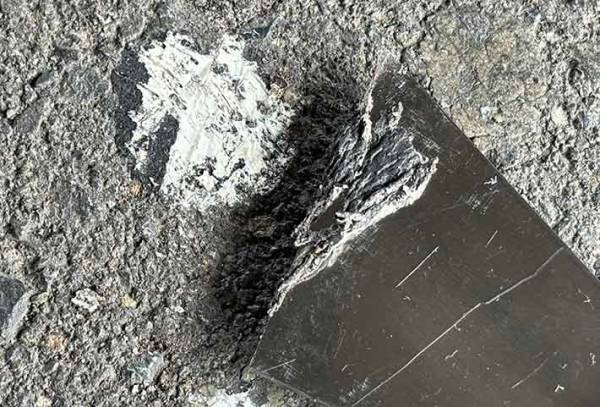 アスファルトに付いた黒い塊が？　１時間取った結果に「こりゃ地道な作業」