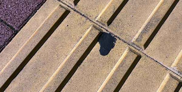 アスファルトに付いた黒い塊が？　１時間取った結果に「こりゃ地道な作業」