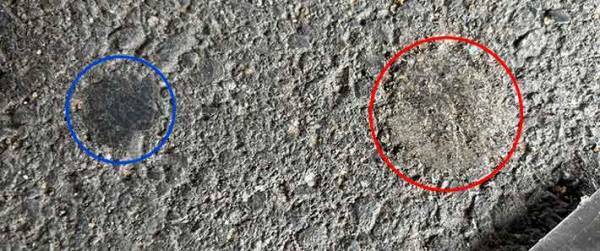 アスファルトに付いた黒い塊が？　１時間取った結果に「こりゃ地道な作業」