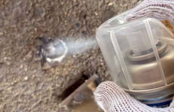 アスファルトに付いた黒い塊が？　１時間取った結果に「こりゃ地道な作業」