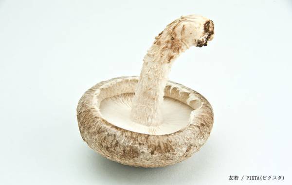 シイタケの軸、捨てた方がいい？　組合の回答に「知らなかった」