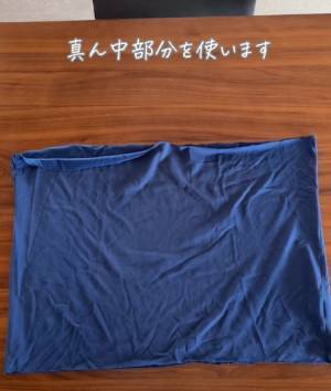 着古したTシャツ、そのまま捨てる？　エコな再利用法に「めちゃくちゃ使える」