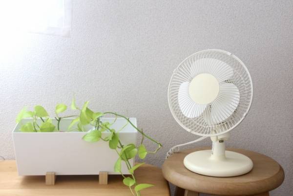 一日中つけっぱなしにしてもいいの？　扇風機を安全に使う方法